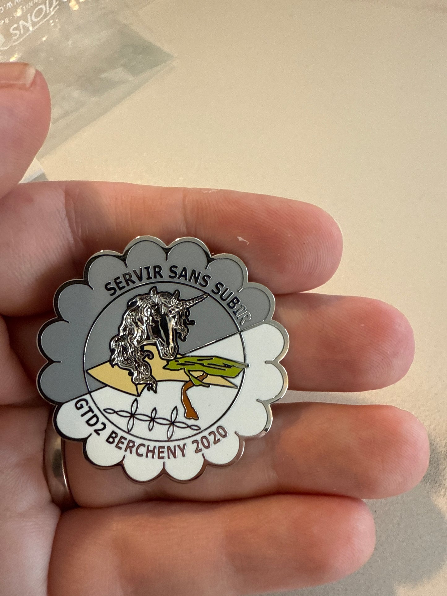 Insignes numérotés 1er RHP - GTD2 - Bercheny 2020