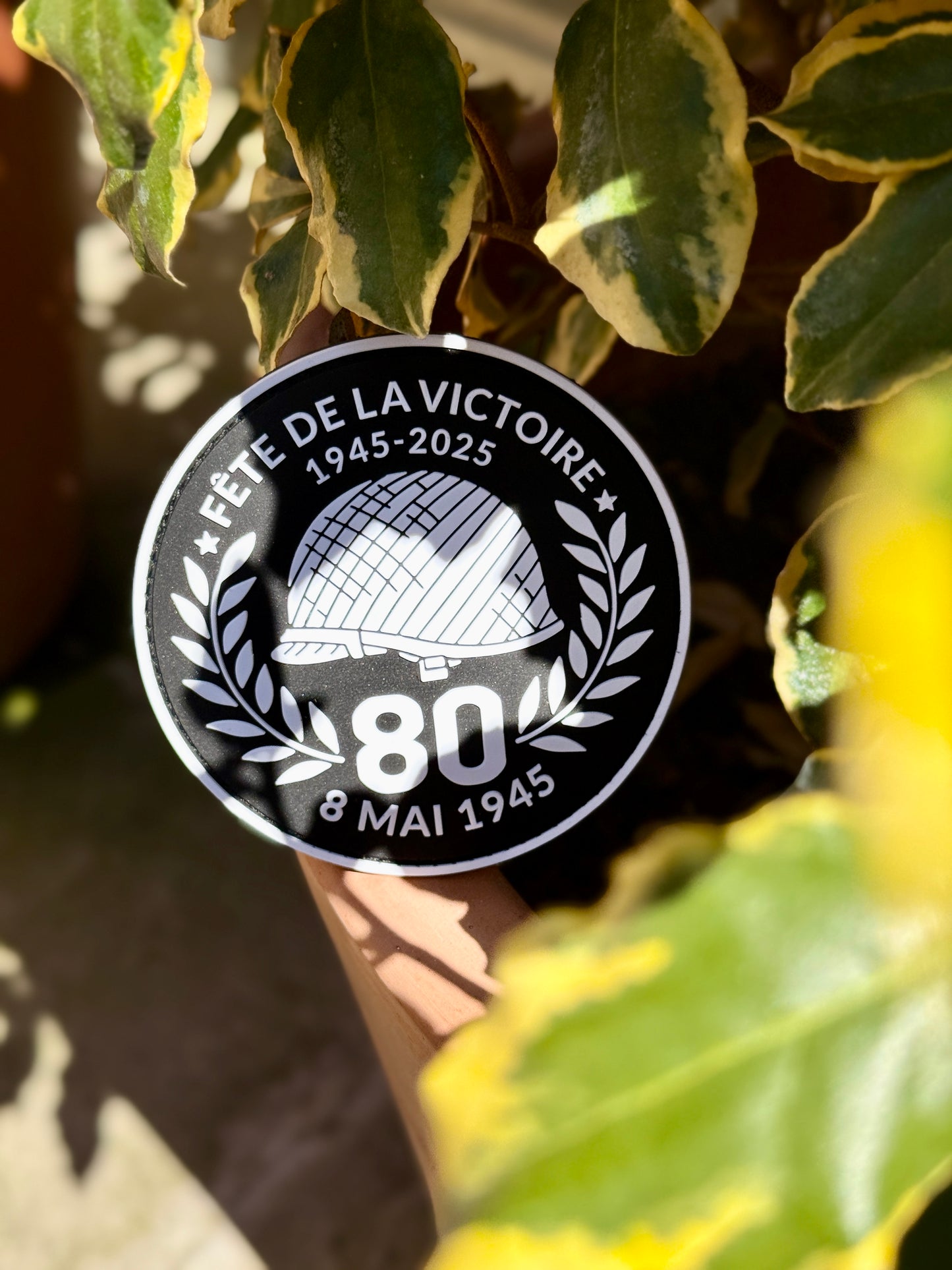 Normandiako lehorreratzearen 80 urteko adabakia