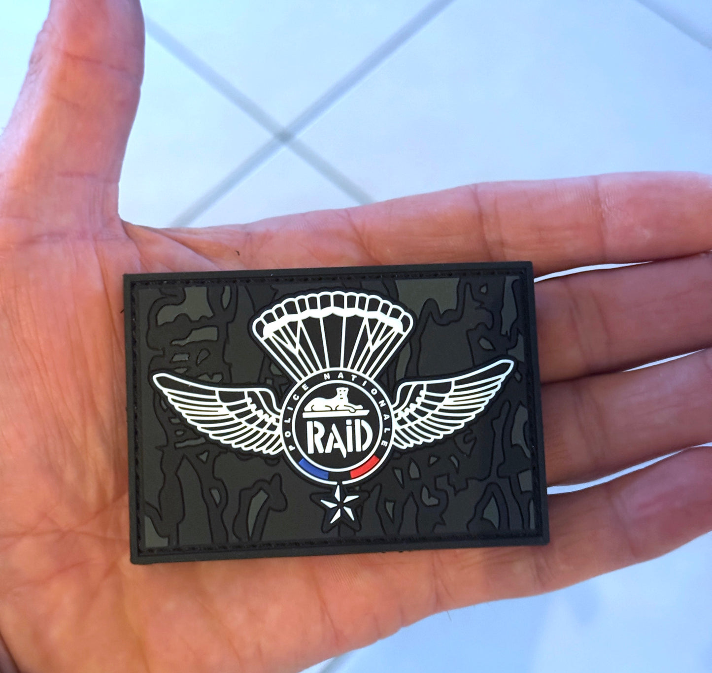 RAID adabaki beltzaren bertsio ofiziala (PVC)