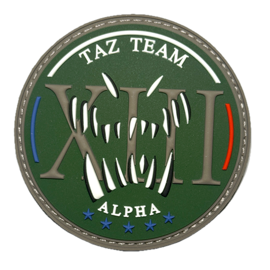 Patch XIIIA (CPA10)