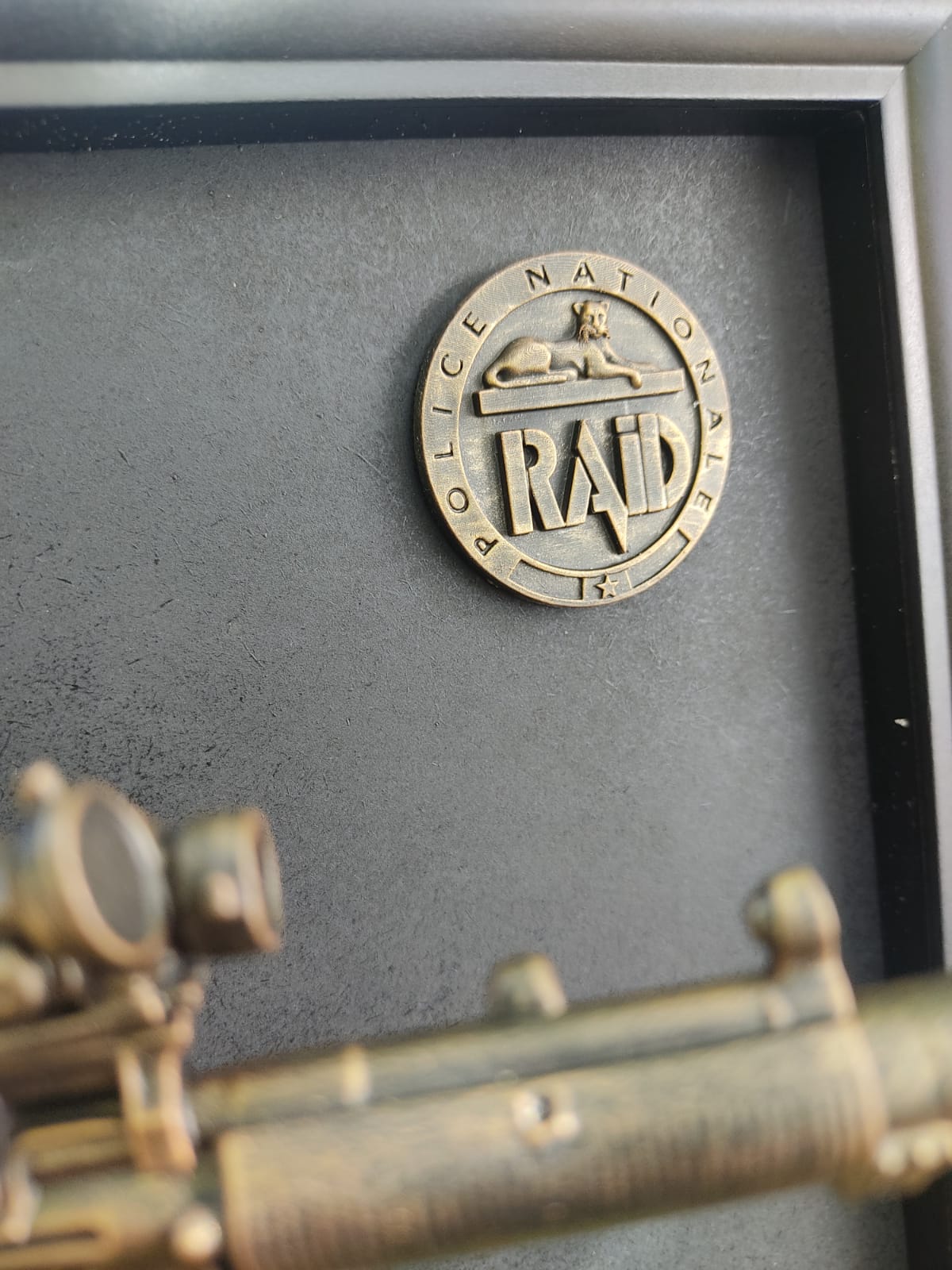 Cadre 3d résine "Opérateur du RAID"